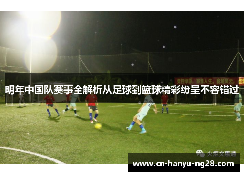 明年中国队赛事全解析从足球到篮球精彩纷呈不容错过
