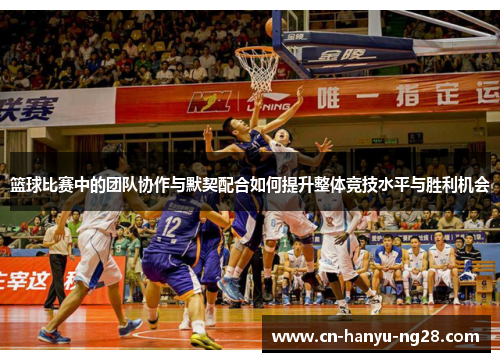 篮球比赛中的团队协作与默契配合如何提升整体竞技水平与胜利机会